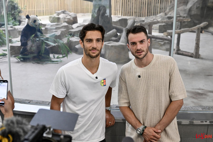 国际赛事 国际赛事