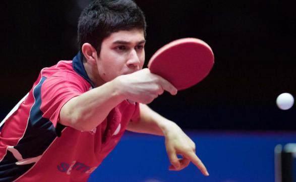 全面诠释了 全面诠释了